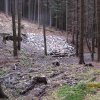 IMG_8831