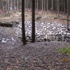 IMG_8833