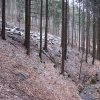 IMG_8848