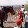 IMG_20180424_141717