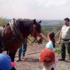 IMG_20180424_141730