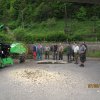 IMG_1953