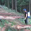 Pěstební činnost, školky, semenářství