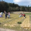 img_1663