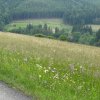 IMG_3004