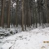 2009-2010_marynicka-obnova-02