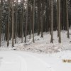 2009-2010_marynicka-obnova-03