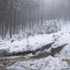 2009-2010_marynicka-obnova-08