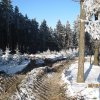 IMG_2330