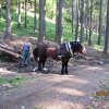 IMG_9941