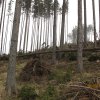 IMG_8807