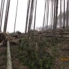 IMG_8809