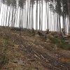 IMG_8814